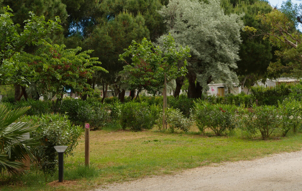 Stellplätze-camping-les-flamants-roses-4etoiles-canet