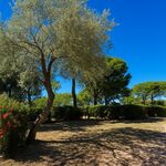 Les emplacements