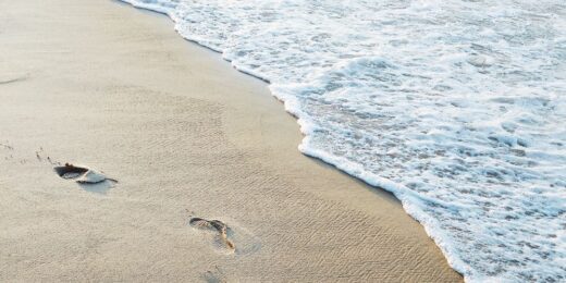 Torreilles plages alentours camping les Flamants Roses Canet-en-Roussillon