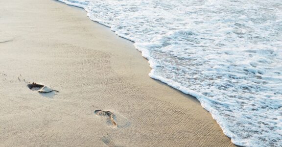 Torreilles plages alentours camping les Flamants Roses Canet-en-Roussillon